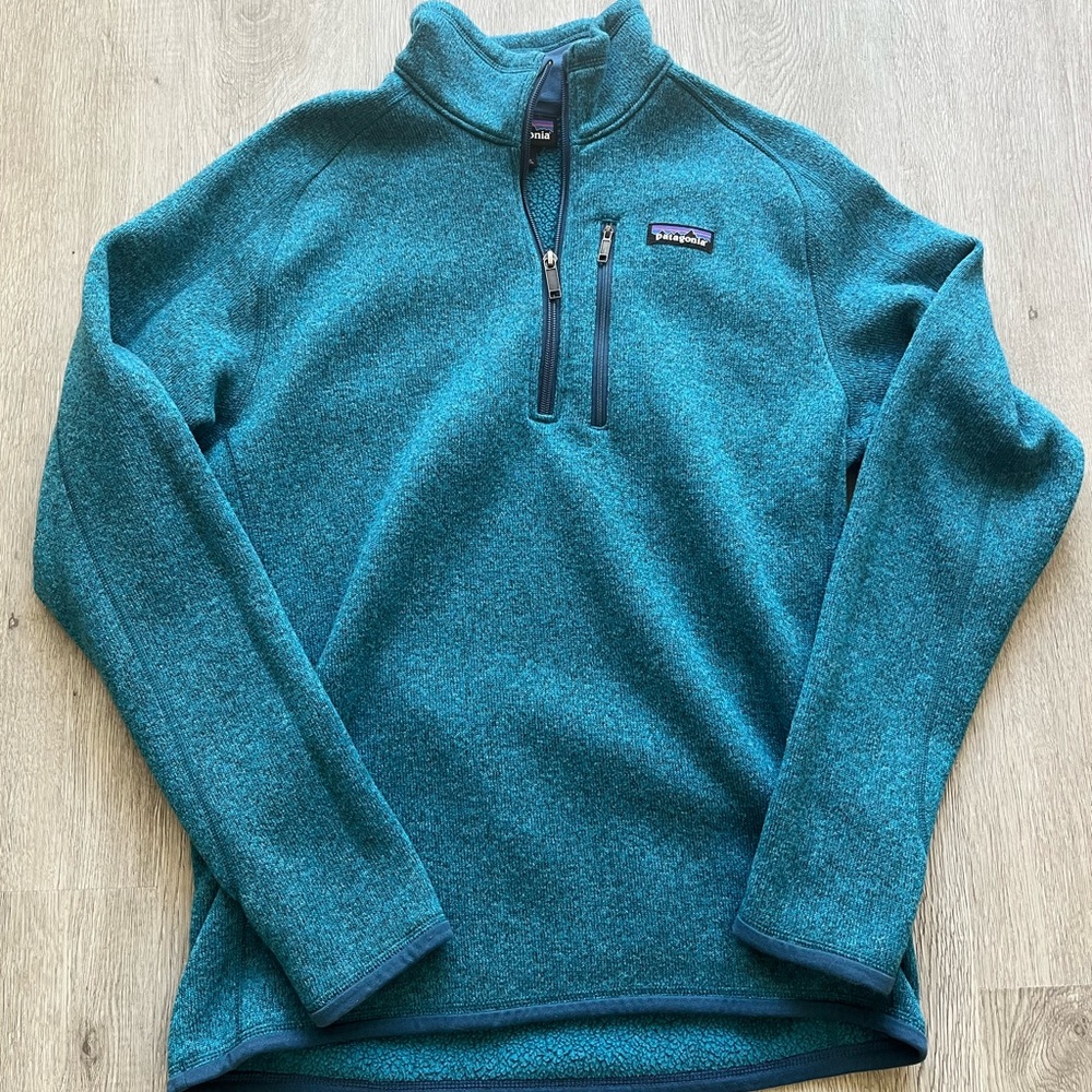 Mens Patagonia Blue Pullover